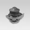 HEPU P1064 Water Pump
